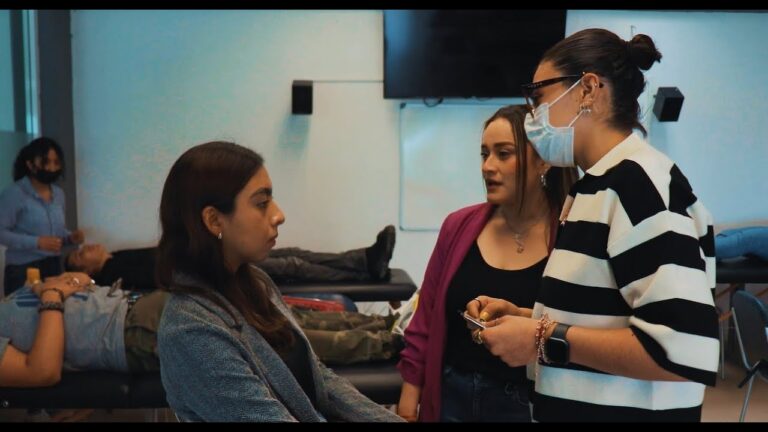 El Arte del Estilismo de Cejas en la Belleza Contempor&aacute;nea