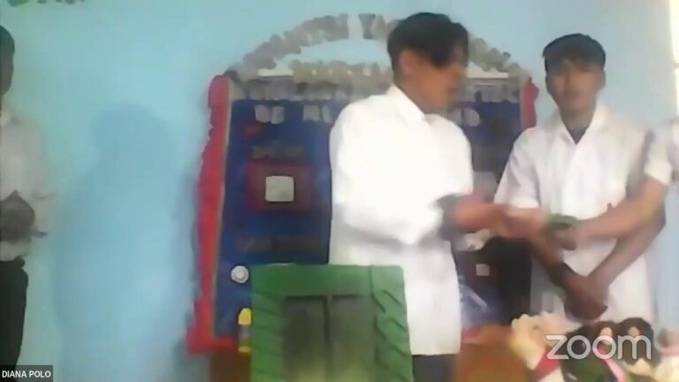 Peinados Innovadores con Productos Eco-Friendly