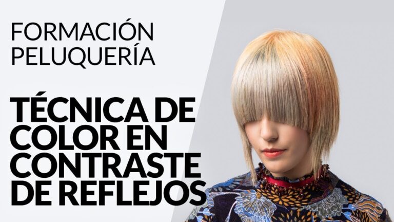 T&eacute;cnicas Innovadoras de Coloraci&oacute;n Avanzada