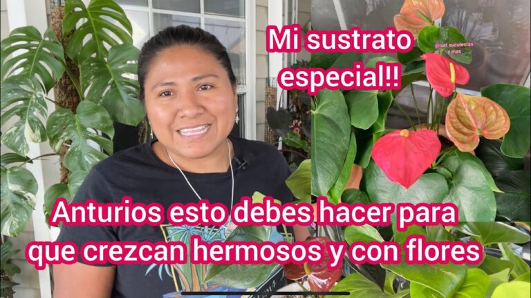 Secretos para el Cuidado Ideal de la Barba Corta