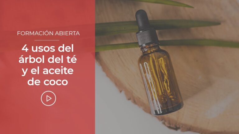 Incorporaci&oacute;n de Aceites Esenciales en Tratamientos Capilares