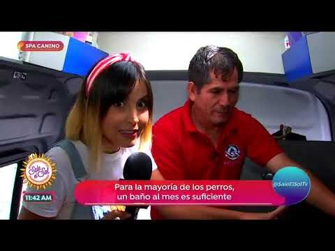 La conveniencia de la peluquer&iacute;a m&oacute;vil: Belleza a domicilio