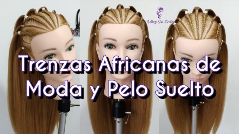 Trenzas Africanas: Tendencia en la Moda Capilar
