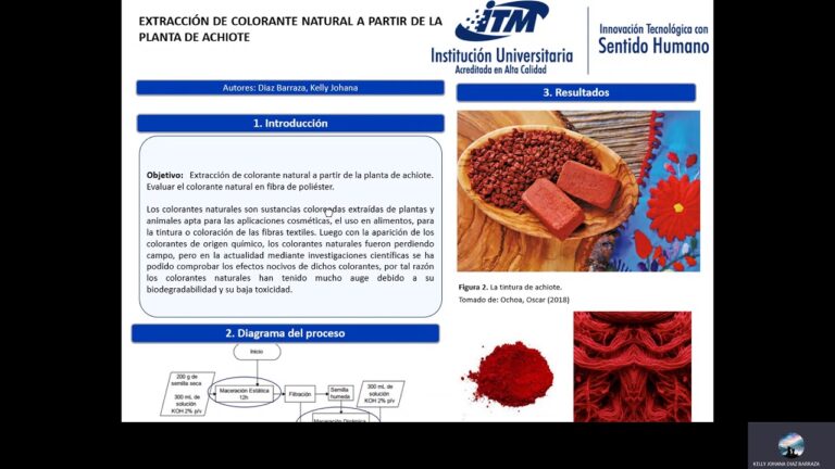 Innovaci&oacute;n Textil: Uso de Tinturas Naturales en Fibras Vegetales