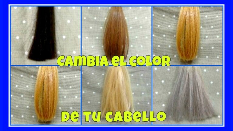 Transformaci&oacute;n Capilar: Tutoriales de Coloraci&oacute;n Esenciales