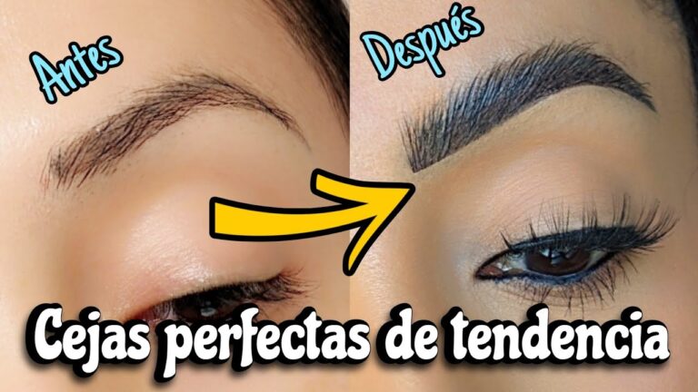 Cejas Perfectas: Maquillaje de Larga Duraci&oacute;n