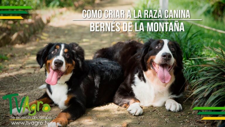 Premios por Buen Comportamiento en Peluquer&iacute;as Infantiles